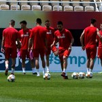 Eliminacje do Euro 2020. Trener Macedonii Płn.: Z Polską zagramy ofensywnie
