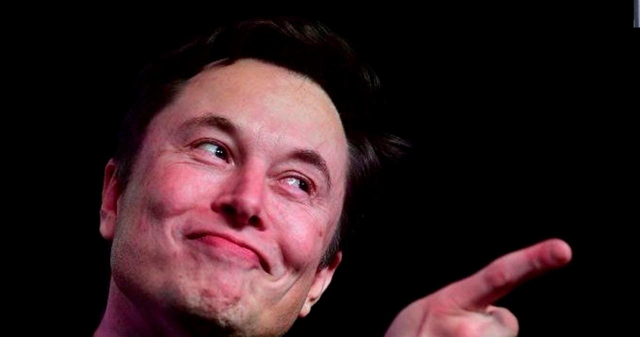 Elon Musk chce być współczesnym Noe i zbudować Arkę /123RF/PICSEL