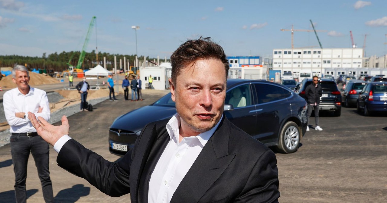 Elon Musk chce się zaangażować w politykę /ODD ANDERSEN /AFP