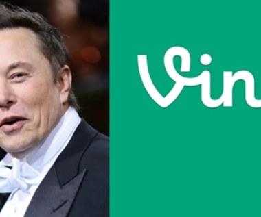 Elon Musk chce wskrzesić Vine. Powrót do przeszłości