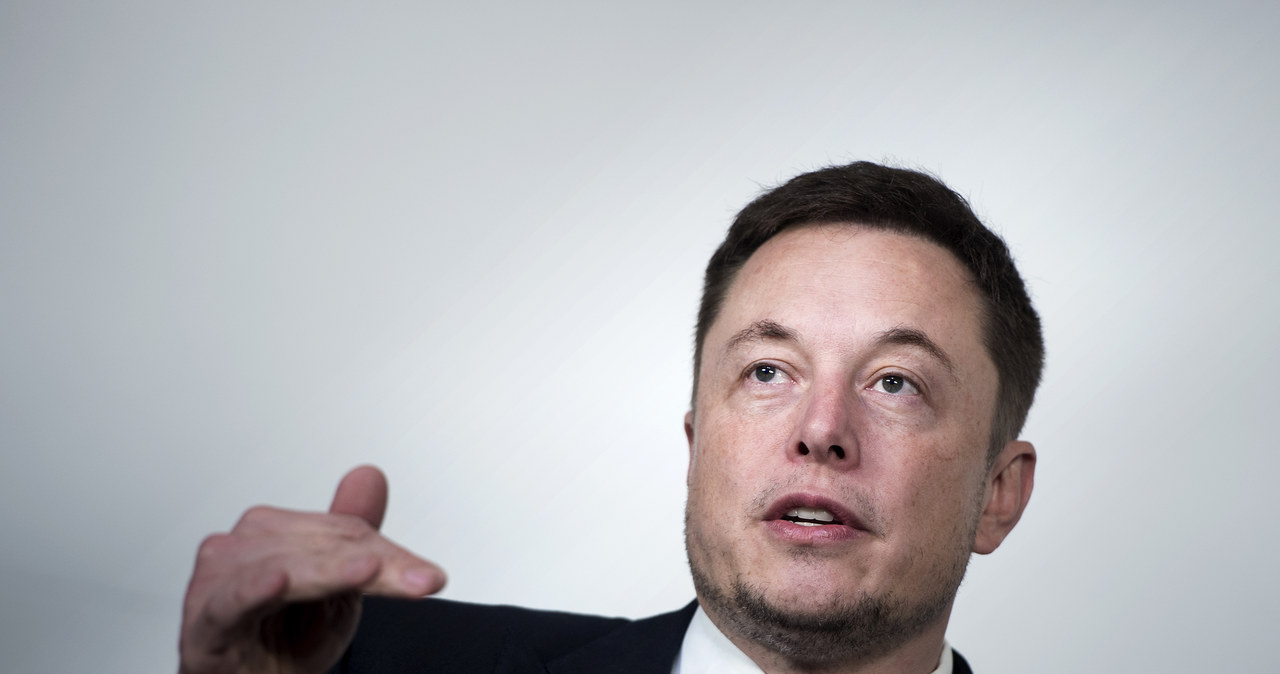 Elon Musk ma kolejne pomysły na biznes /AFP