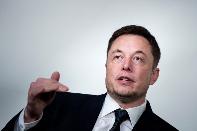 Elon Musk ma kolejny pomysł na biznes /AFP