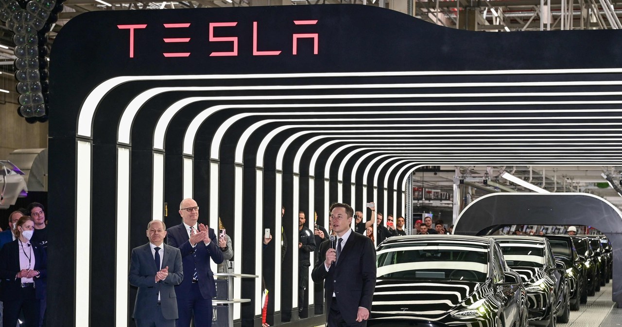 Elon Musk musi działać, Tesla pokazała wyniki finansowe i nie sprostała oczekiwaniom rynku. /AFP