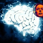 Elon Musk, Neuralink i przemoc na małpach. Niepokojący raport