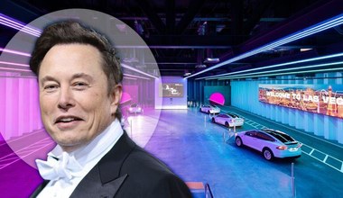 Elon Musk przekopie tunel na plażę? Miliarder nie widzi problemu