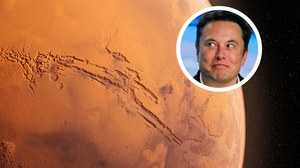 Elon Musk sprzedał ostatni dom. "Wyprowadzam się na Marsa"