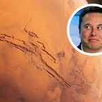 Elon Musk sprzedał ostatni dom. "Wyprowadzam się na Marsa"