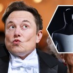 Elon Musk: Tesla Bot nadchodzi! Na Tesla AI Day zobaczymy działający prototyp