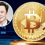 Elon Musk wie, kim jest twórca Bitcoina