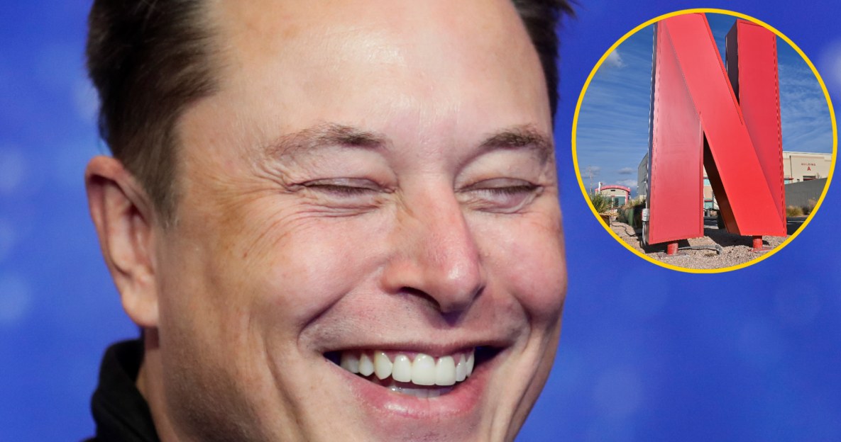 Elon Musk wyszydza wyniki kwartalne Netfliksa /Getty Images
