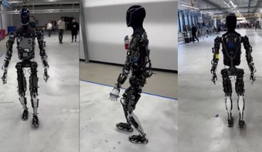 Elon Musk zabrał robota na spacer. Optimus wygląda imponująco