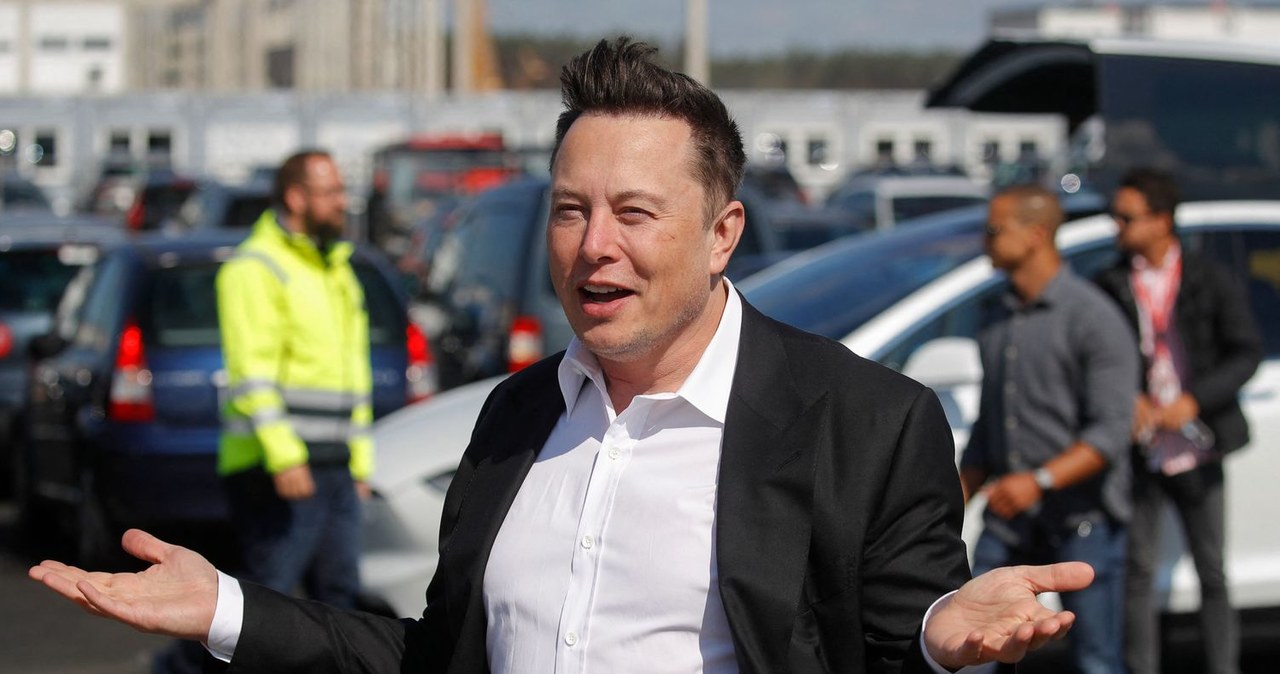 Elon Musk /ODD ANDERSEN /AFP