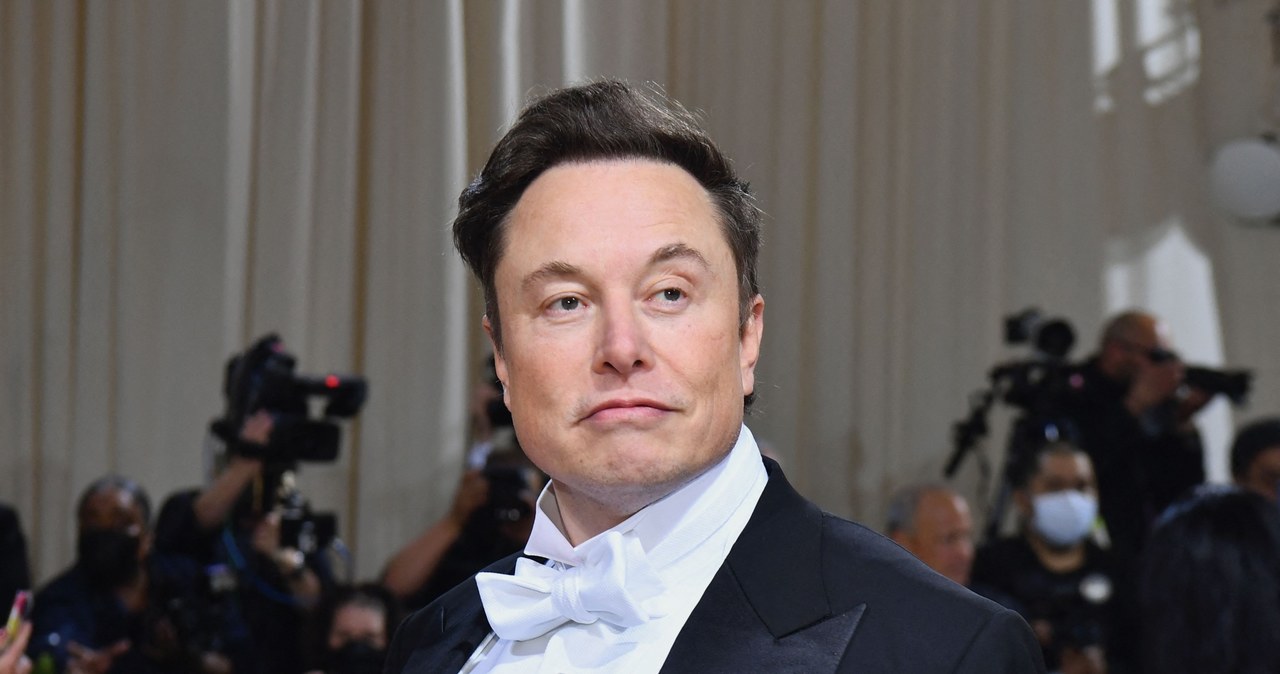 Elon Musk /Angela Weiss /AFP