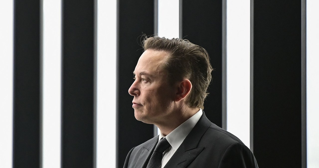 Elon Musk /PATRICK PLEUL  /AFP