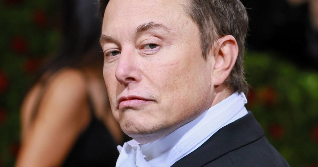 Elon Musk /	Theo Wargo / Staff /Getty Images