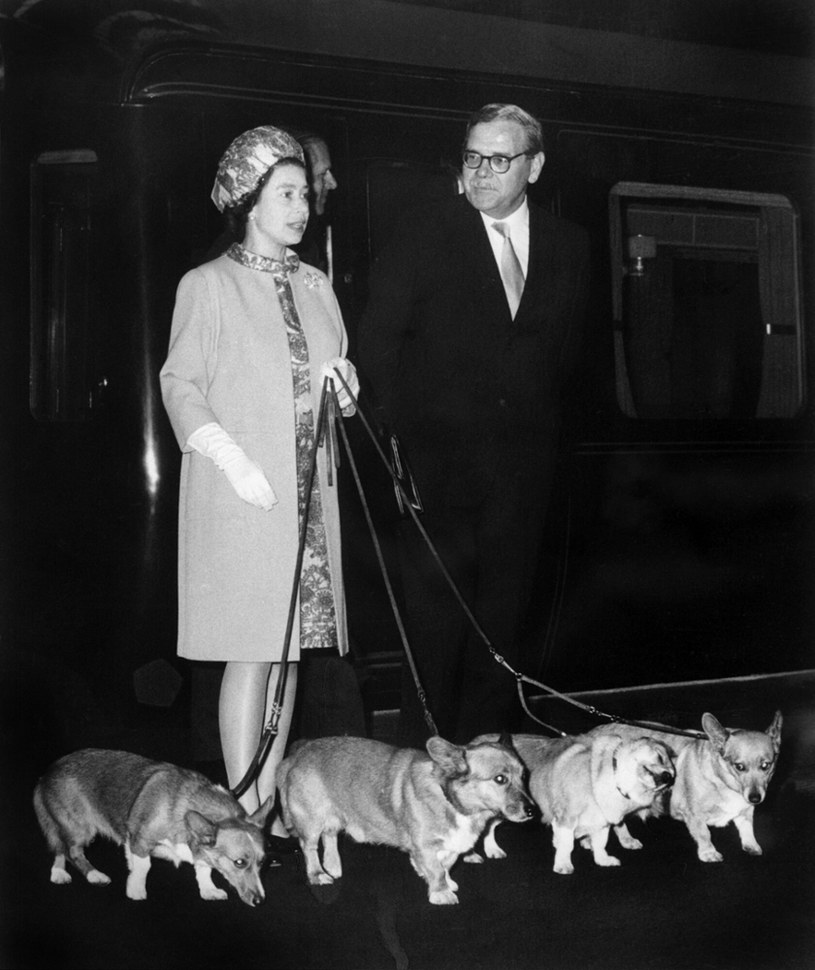 Elżbieta II z psami w 1969 roku /STF/AFP /East News