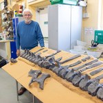 Emeryt odkrył nowego dinozaura. Tylko on zauważył ten szczegół