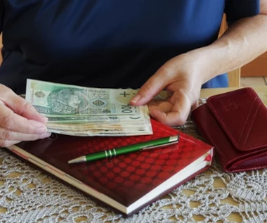 Emerytury wyższe nawet o połowę. Eksperci wskazują pewną grupę kobiet