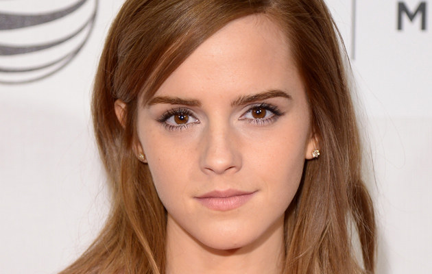 Emma Watson ma kłopoty z prawem! /Michael Loccisano /Getty Images