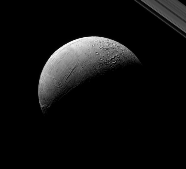 Enceladus widziany z sondy Cassini. U góry po prawej fragment pierścieni Saturna /NASA/JPL-Caltech/Space Science Institute /materiały prasowe