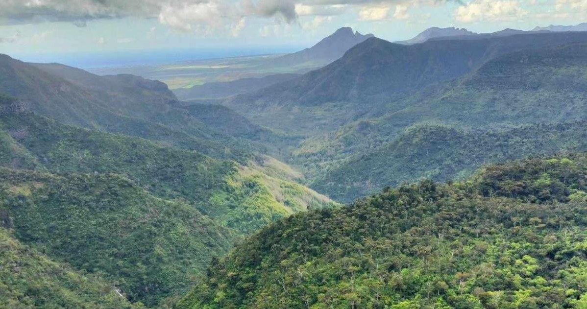 Endemiczny las Mauritiusu przypomina o dzikości tej wyspy i o tym, jak wyglądała zanim człowiek rozpoczął tam kolonizację /Karolina Iwaniuk  /archiwum prywatne
