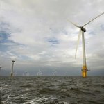 Enea, Orlen i PGE biorą się za morską energetykę wiatrową