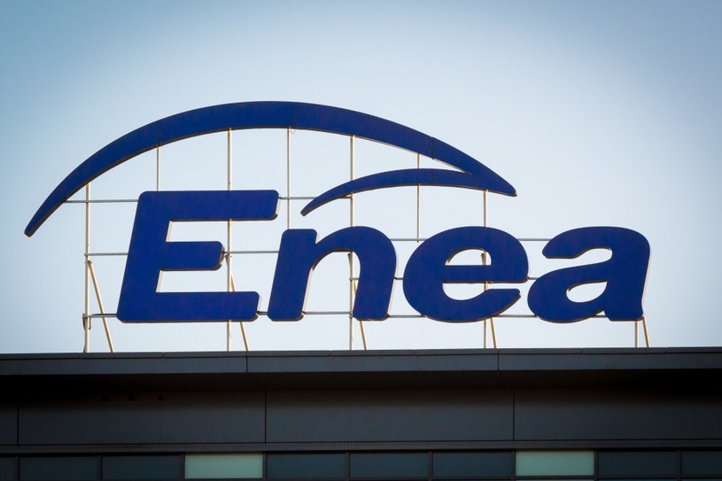 Enea poinformowała we wtorek o zamiarze dokonania odpisów /Informacja prasowa