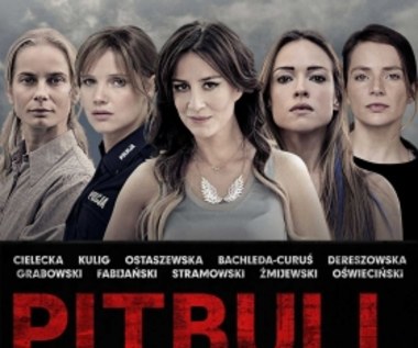 ENEMEF: Maraton Pitbulla