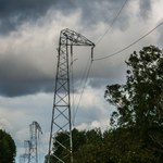 Energetycy nadal usuwają skutki wichury w Lubuskiem. Bez prądu ponad 3 tys. odbiorców