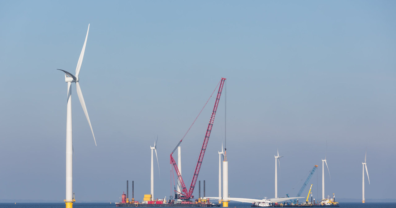 Energetyczny gigant rozpycha się na Bałtyku /123RF/PICSEL