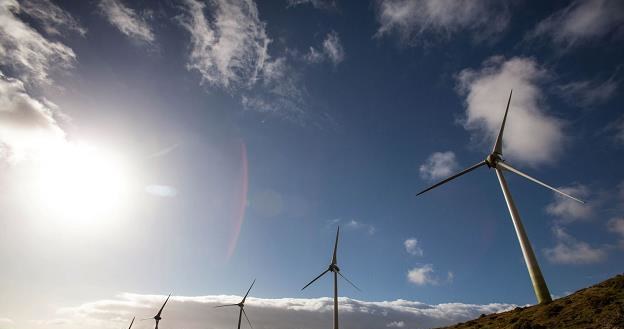 Energetyka wiatrowa na minusie /AFP