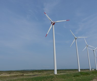 Energetyka wiatrowa: Ważny apel branży w sprawie "ustawy 10H"