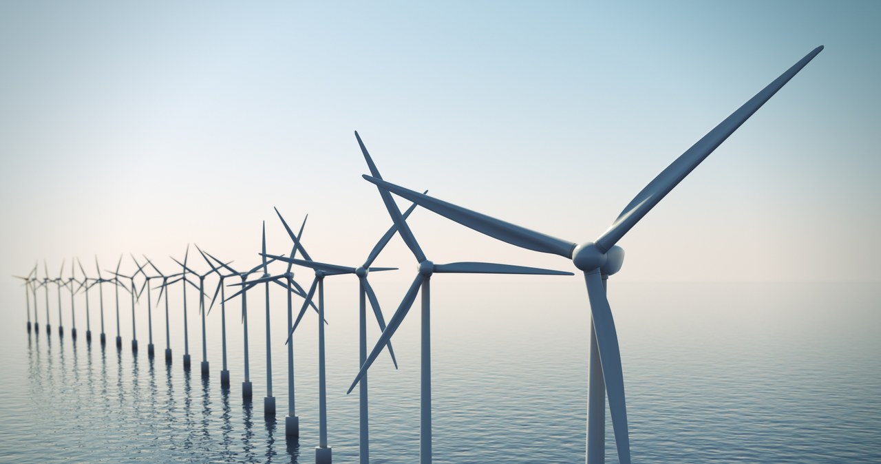 Energia z wiatru dla ponad 5,5 mln odbiorców w Holandii /123RF/PICSEL