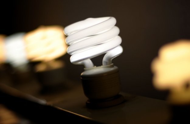 Energooszczędne świetlówki zużywają o 80 proc. mniej energii elektrycznej niż żarówki tradycyjne /AFP