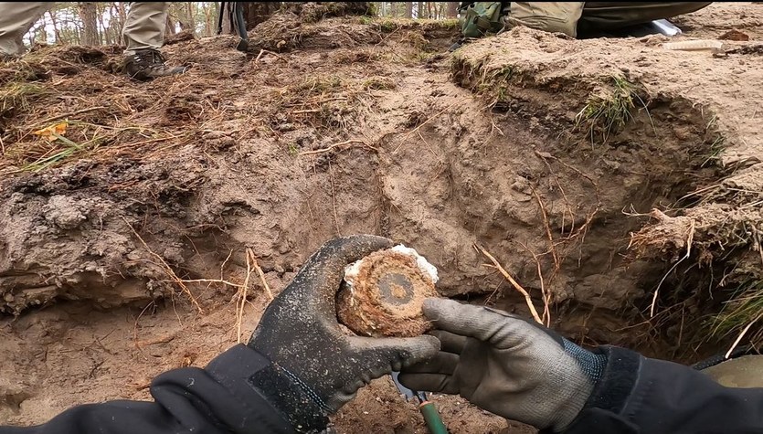 Enigma na Wyspie Sobieszewskiej. Zaskakujące odkrycie 