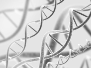 Enzym służący do naprawy DNA jednak szkodzi?