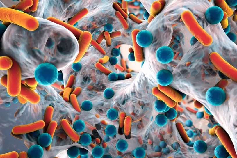 Epidemia antybiotykoodporności to poważne zagrożenie /123RF/PICSEL