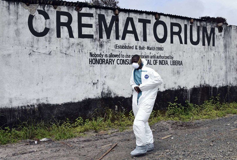 Rosja Obiecuje Trzy Szczepionki Przeciwko Eboli Wydarzenia W Interiapl 2079