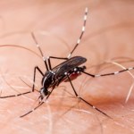 Epidemia zakaźnej choroby wymknęła się spod kontroli. Tysiące chorych