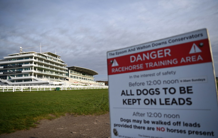 Epsom Racecourse, proponowany ośrodek szczepień w Epsom w Wielkiej Brytanii / 	ANDY RAIN    /PAP/EPA