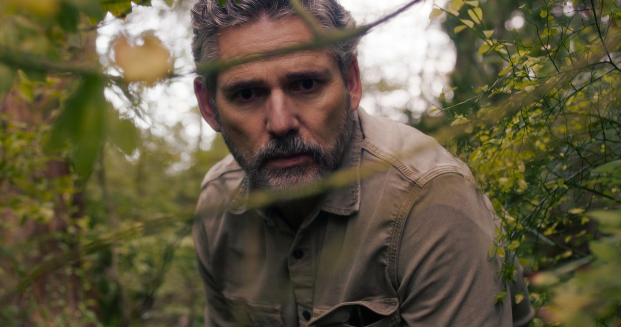 Eric Bana w serialu "Dzikość" /Netflix