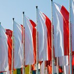 Ernst & Young: Polska jest w grupie 25 Rynków Szybkiego Wzrostu