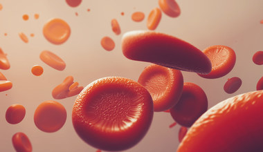 Erytrocyty. Rola i normy czerwonych krwinek w organizmie