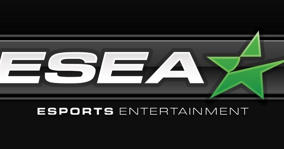 ESEA - logo organizacji /materiały prasowe