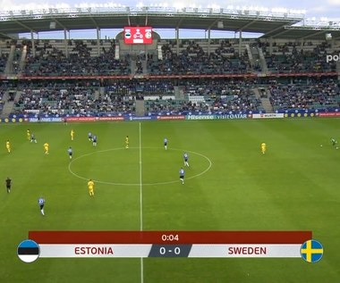 Estonia - Szwecja 0:5. Skrót meczu. WIDEO