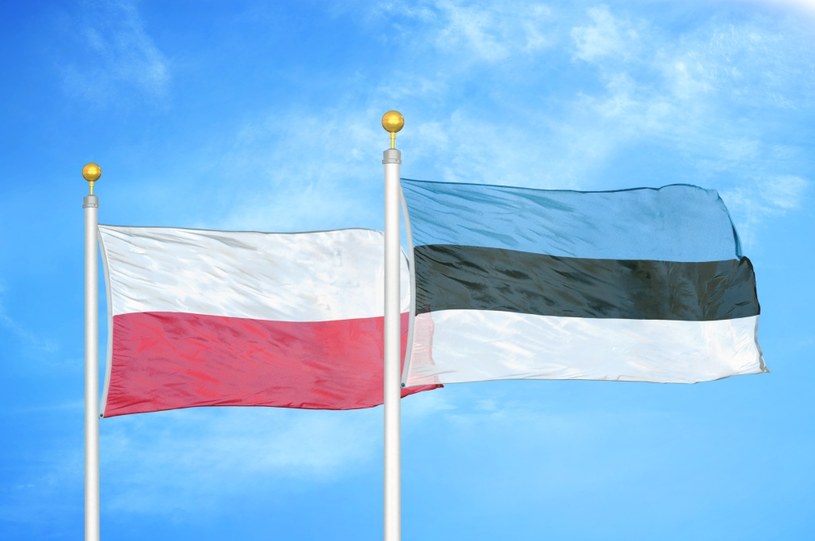"Estonia to kraj, który może być doskonałym polem testowym dla naszej administracji" /123RF/PICSEL