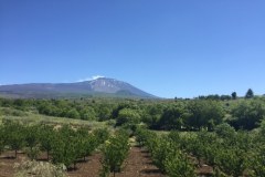 Etna i nie tylko. Niesamowite widoki z pokładu pociągu polskiej produkcji