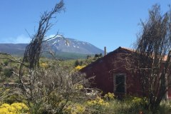 Etna i nie tylko. Niesamowite widoki z pokładu pociągu polskiej produkcji