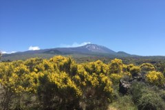 Etna i nie tylko. Niesamowite widoki z pokładu pociągu polskiej produkcji