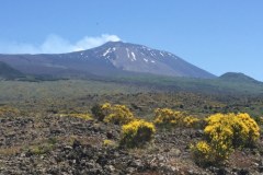 Etna i nie tylko. Niesamowite widoki z pokładu pociągu polskiej produkcji